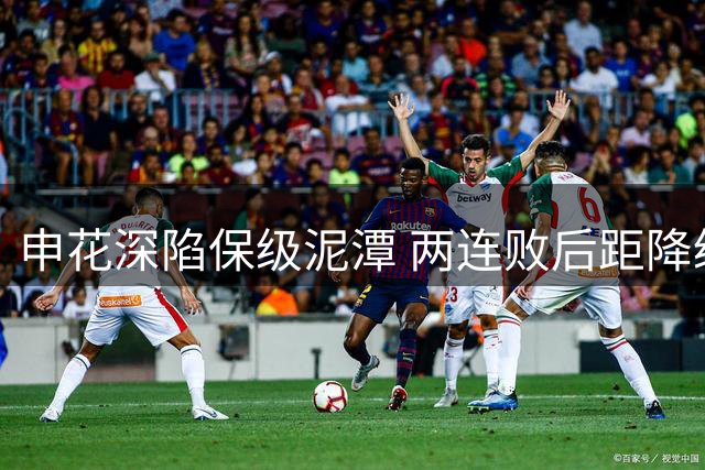 申花深陷保级泥潭 两连败后距降级区仅一步之遥